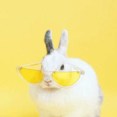 White bunny with the words 'Manufacturing Cruelty-Free Korean Skincare' on a yellow background